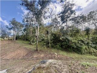 Terreno Bo. Rinc�n Lomas Cayey
