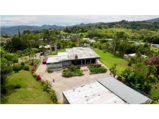Bienes Raices Bo. Guavate - Multifamiliar   Puerto Rico