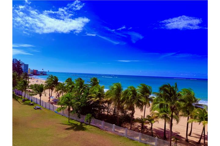 Playa Dorada- On  The Best Urban  Beach