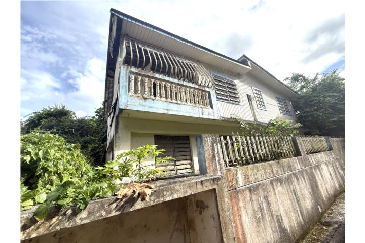 Sect Morenita BAYAMON