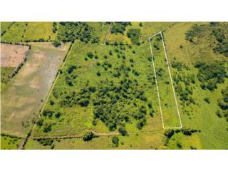 Puerto Rico - Bienes Raices VentaTerreno de 7.95 Cuerda en Bo. Benavente $143K Puerto Rico