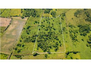 Puerto Rico - Bienes Raices VentaTerreno de 27.50 Cuerda en Bo.Benavente $318K Puerto Rico