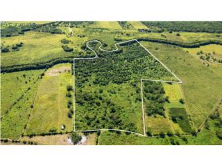 Terreno de 79.24 Cuerda en Bo.Benavente $930K