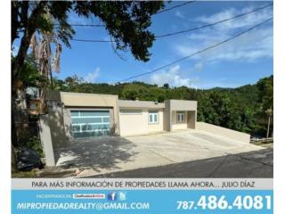 BO. Guavate,  Carr. 743 , Cayey