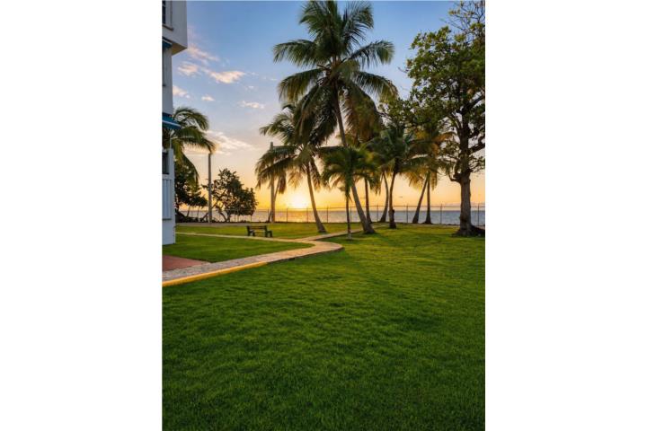 Cond. Costamar Beach Village, GARDEN