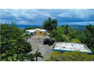 Leguizamo Puerto Rico