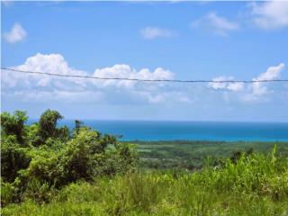 En venta solar en Bo Pitahaya - Luquillo