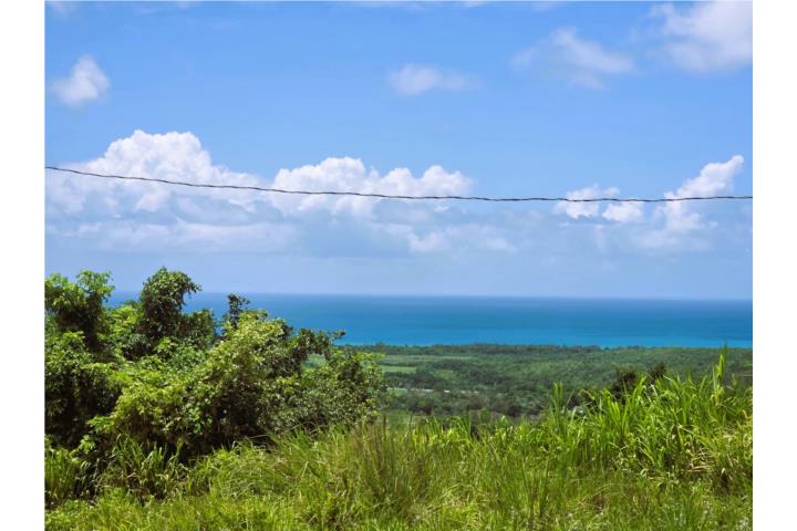 En venta solar en Bo Pitahaya - Luquillo