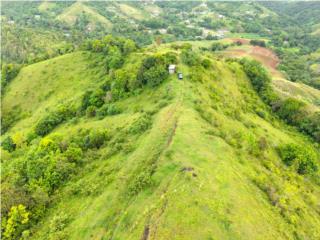 EXTRAORDINARIA FINCA DE 46.25 CUERDAS CON R�O