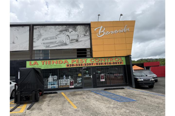 LLave de Negocio en Caguas