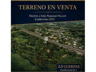 Sector Naranjo Fajardo 2.51 cuerdas terreno 