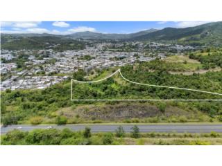 Terreno en Valle Alto de 6.46 cuerdas $595K
