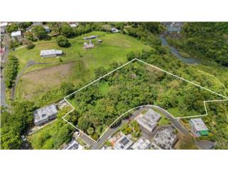 Terreno en Bo. Rinc�n de 2.66 cuerdas $195K