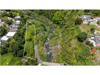 Terreno de 0.50 Acres en Bo. Rincon $64,900
