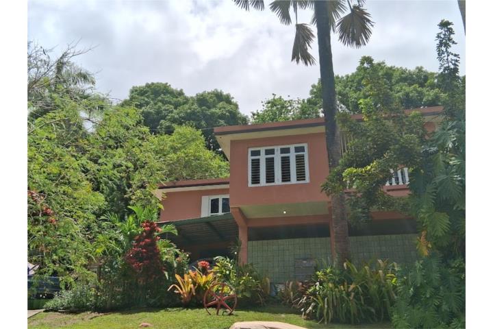 BO BARRAZAS