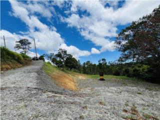 Terreno en Carruzos en Carolina(2.97 Cuerdas)
