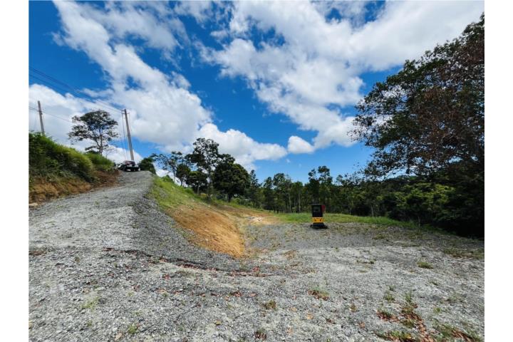 Terreno en Carruzos en Carolina(2.97 Cuerdas)