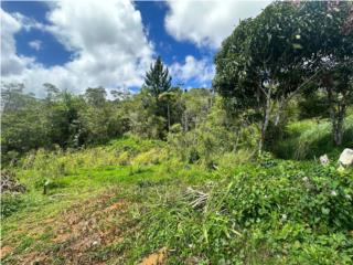 Se Vende Terreno en Bo. Saltos, Orocovis