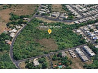 Terreno para proyectos en Jardines de COAMO