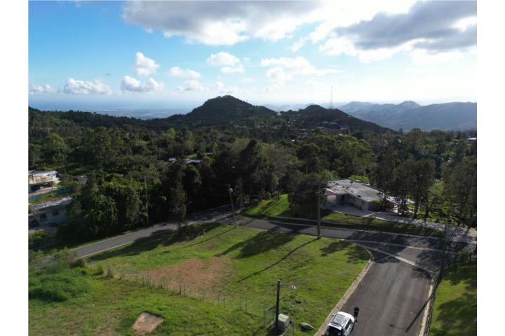 Cercadillo Puerto Rico