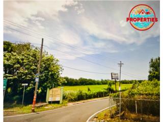 10 Acres Llanos, Agricola enPR 2 Ceiba Baja 