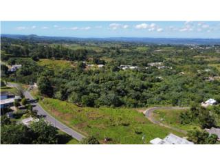 Terreno con vista panor�mica 