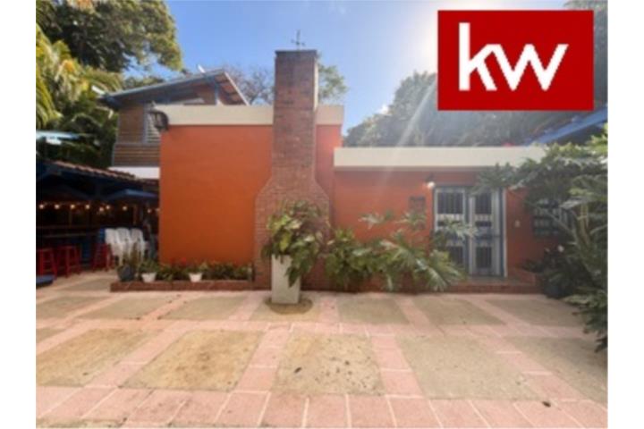 BO. CUBUY, CASA EN CANOVANAS
