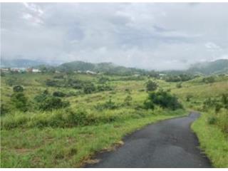 TERRENO EN VENTA � CAN�VANAS, PR