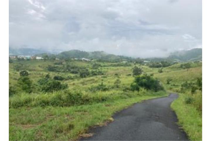 TERRENO EN VENTA  CANÓVANAS, PR