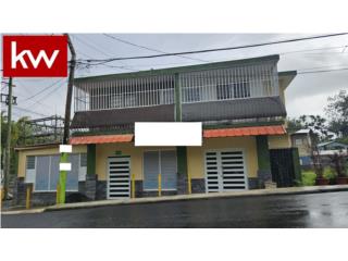 BO. CAGUITAS, PROPIEDAD EN AGUAS BUENAS