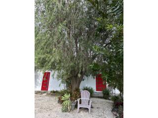 Carr.117 ,K.m. 3.7 interior, sect. Las Cuevas
