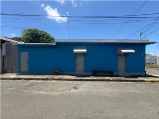 Propiedad de Uso Mixto - Guayama