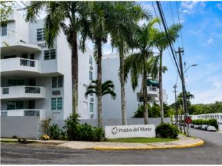 Prados Del Monte Guaynabo, Cerca de todo