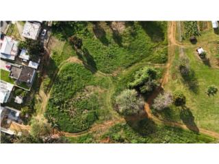 Puerto Rico - Bienes Raices VentaIsabela Land 3,533.250 m� Easy PR-2 Access Puerto Rico