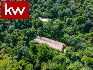 Puerto Rico - Bienes Raices VentaBO. ROSARIO ALTO, FINCA EN SAN GERMAN Puerto Rico