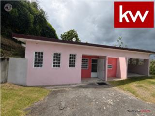 Puerto Rico - Bienes Raices VentaBO. CEIBA NORTE, CASA EN JUNCOS Puerto Rico