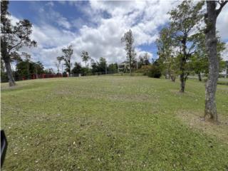  Barrio Cubuy Carr 186 km 10.1 