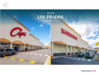 Venta / Inversion - Plaza Los Prados, Caguas