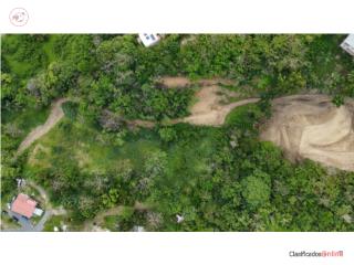 3.42 Acres with Ocean Views Great Potential