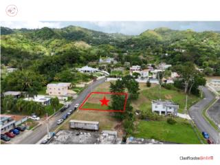 Puerto Rico - Bienes Raices VentaPrime Multi-Use Lot in A�asco Great location Puerto Rico