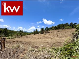 BO. ARENAS, TERRENO EN CIDRA
