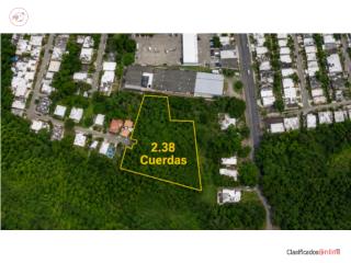 Finca de 2.38 cuerdas Urb. El Eden Coamo