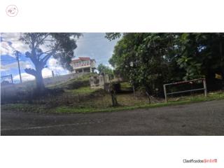  SECTOR LOS AYALA 344