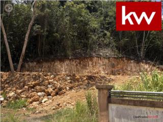 BO. MIRAFLORES, TERRENO EN ARECIBO