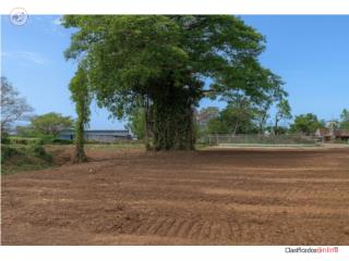 Terreno en Bo. Caimital Alto, Aguadilla