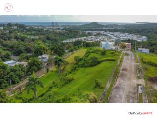 Mansiones de Terralinda, Luquillo 