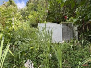 BO:MONTELLANOS,FINCA DE 10.7 CDAS,VISTA,$228K