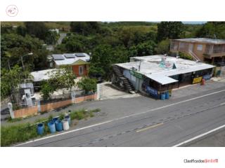 Carr. 118, km 1.3, Barrio Lajas Arriba, 00667
