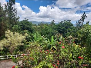 Hacienda Casa Monticello, Cidra - $725K