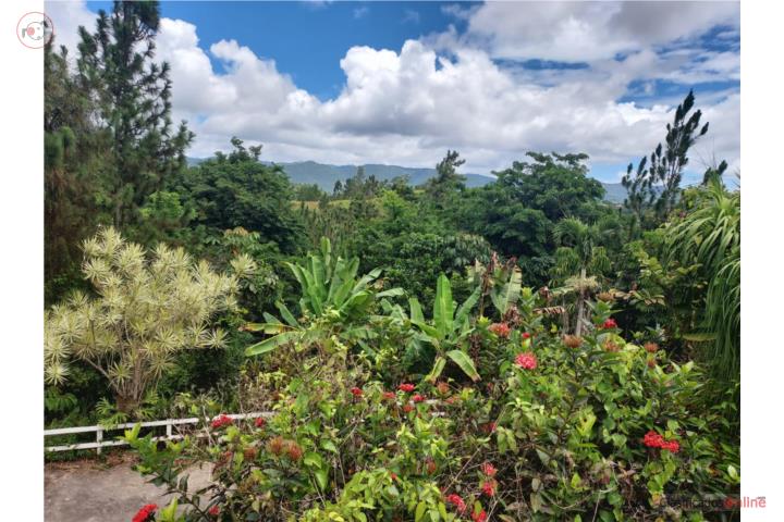 Hacienda Casa Monticello, Cidra - $725K